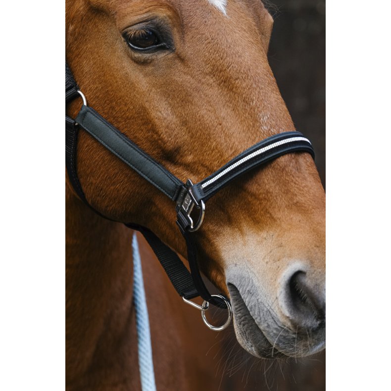 EQUITHEME Grime Domino full Gr�n