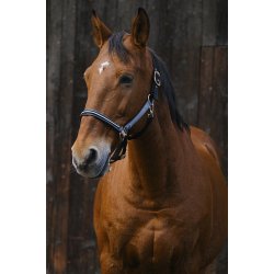 EQUITHEME Grime Domino full