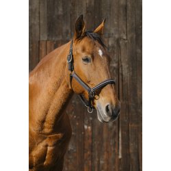 EQUITHEME Grime Domino full