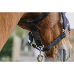 EQUITHEME Grime Domino full