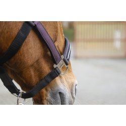 EQUITHEME Grime Domino full