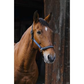 EQUITHEME Grime Domino full