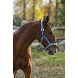 EQUITHEME Spring grime full