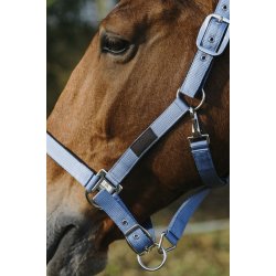 EQUITHEME Spring grime full