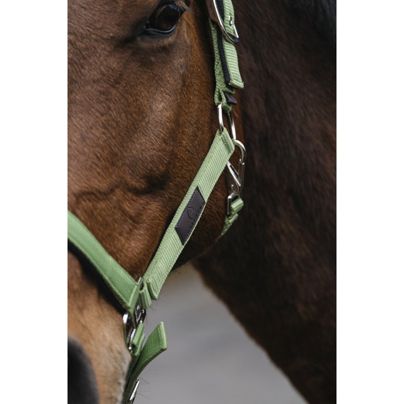 EQUITHEME Spring grime full Lysegr�n