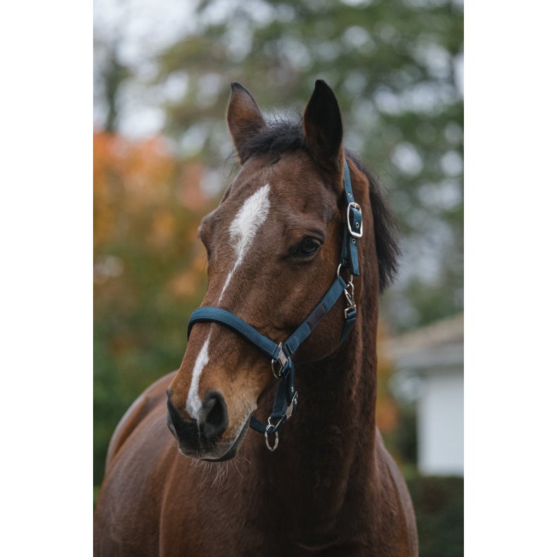 EQUITHEME Spring grime full M�rkegr�n