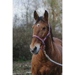 EQUITHEME Spring grime full