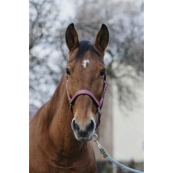 EQUITHEME Spring grime full