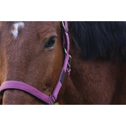 EQUITHEME Spring grime full