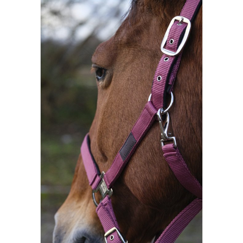 EQUITHEME Spring grime full Lilla