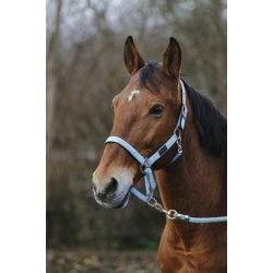 EQUITHEME Spring grime full