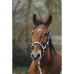 EQUITHEME Spring grime full