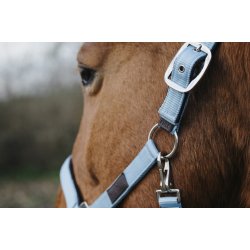 EQUITHEME Spring grime full