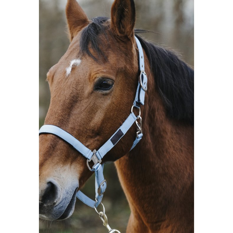 EQUITHEME Spring grime full Turkis