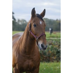 EQUITHEME Spring grime full