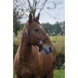 EQUITHEME Spring grime full