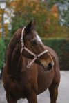 Lyser�d