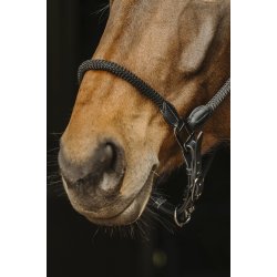 NORTON PRO L�dergrime sort