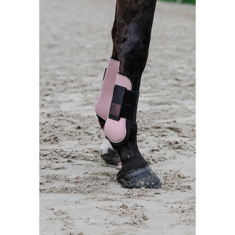 EQUITHEME Tara forbens gamacher Full Pink