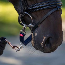 Longerings-delta IRH