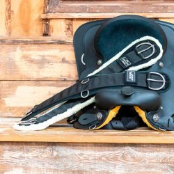 LAMI-CELL V22 western gjord