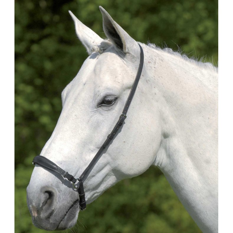 Waldhausen S-Line Hannoveransk n�seb�nd justerbart sort