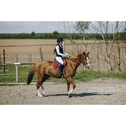 Sikkerhedsvest Airsafe EQUITHEME junior sort