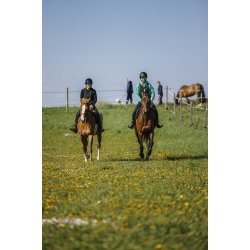 Sikkerhedsvest Airsafe EQUITHEME junior sort