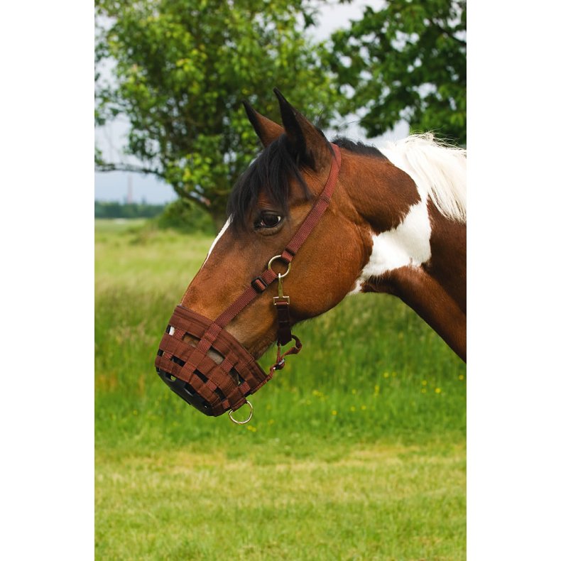 Mundkurv nylon Pony Choko