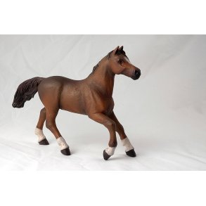 PAPO Anglo-arabisk hoppe