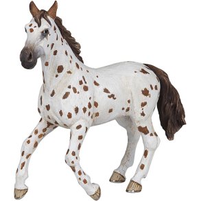 PAPO Appaloosa hoppe