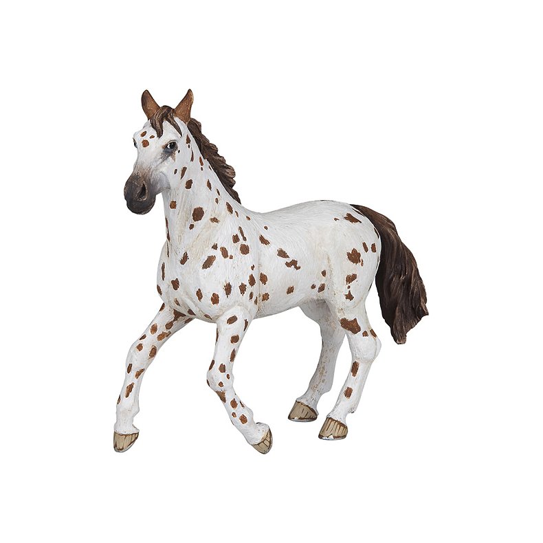 PAPO Appaloosa hoppe