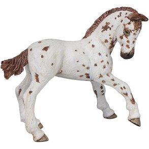 PAPO Appaloosa fl