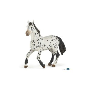 PAPO Sort Appaloosa