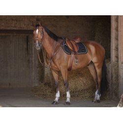 Gjord Eric Thomas Hybrid