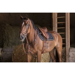 Gjord Eric Thomas Hybrid