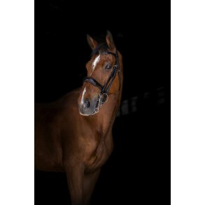 Kandar Eric Thomas Elite Full sort