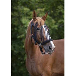 NORTON Fluepandeb�nd, flere farver 