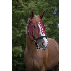 NORTON Fluepandeb�nd, flere farver 