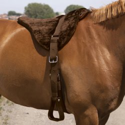 BALE BACKPAD NORTON COMFORT