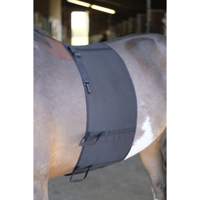 NORTON Belly band mavebeskytter sort