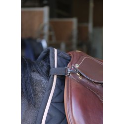 NORTON Belly band mavebeskytter sort