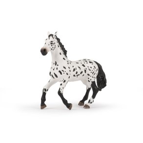 PAPO Appaloosa hest