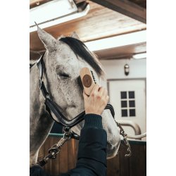 Borstiq hovedb�rste