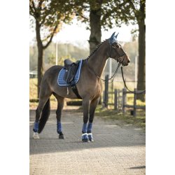 LAMI-CELL LC flueh�tte Full