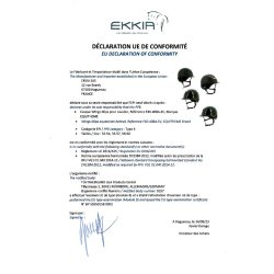 EQUITHEME WINGS MIPS Sikkerhedsridehjelm sort/rosegold