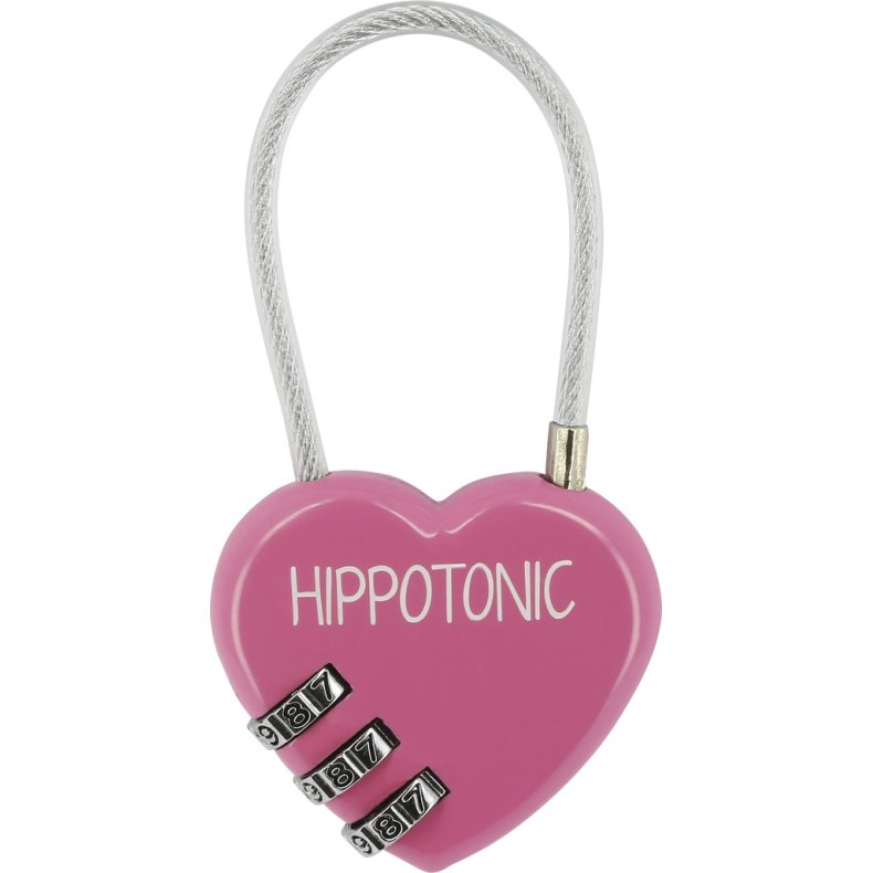 H�ngel�s  Hjerte fuchsia