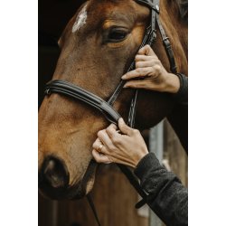 NORTON PRO Apophyse trense sort