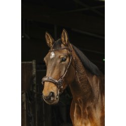 NORTON PRO Hackamore trense sort