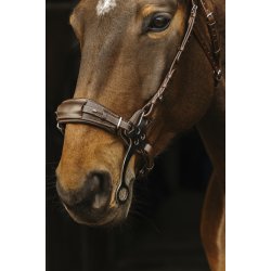 NORTON PRO Hackamore trense sort